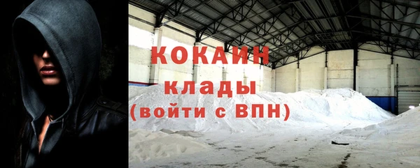 молекула духа Козловка