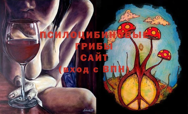 прущая мука Краснослободск