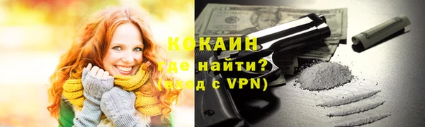 молекула духа Козловка