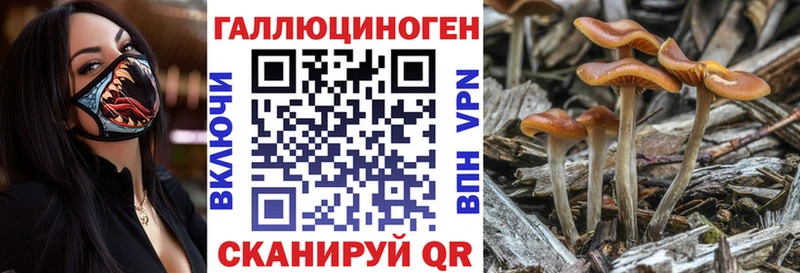 Псилоцибиновые грибы Magic Shrooms  Лакинск 